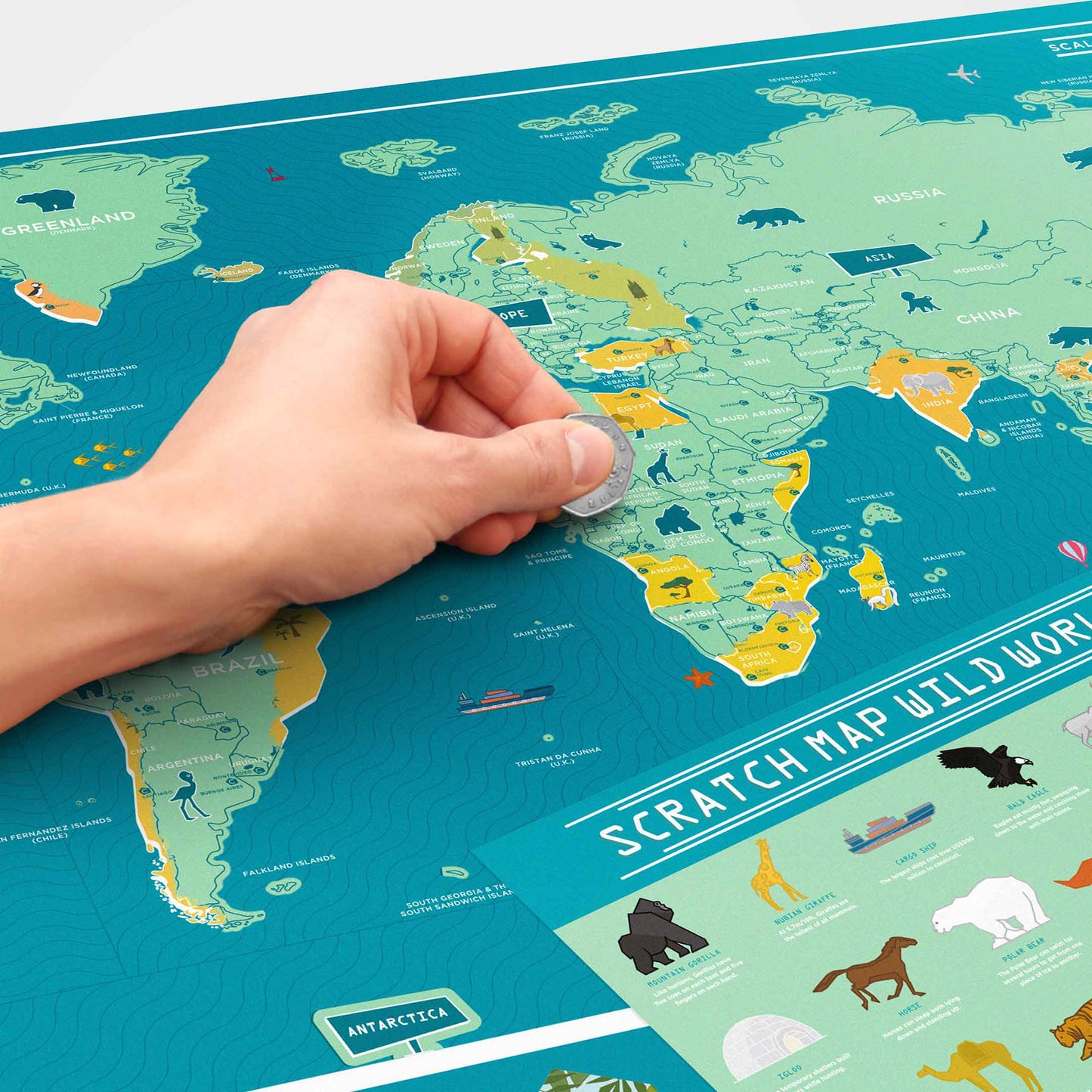 Scratch Map - Harta lumii razuibila 82x60 cm - Wild World