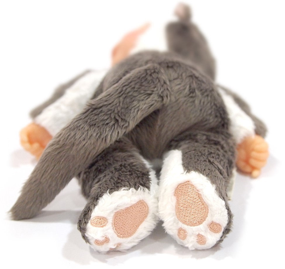 Anne Geddes Pisicuta 23 cm
