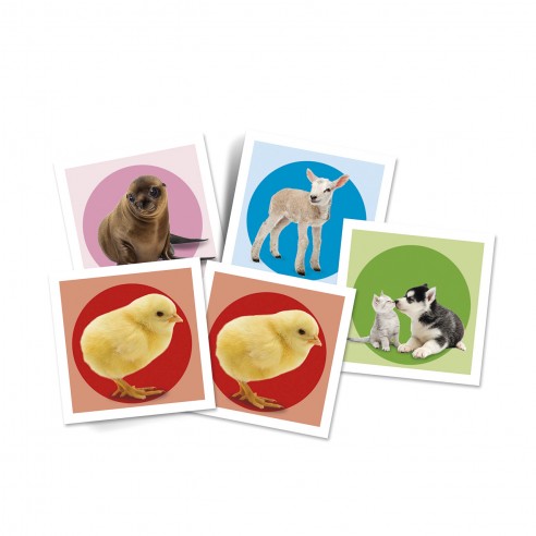 Joc Memo Baby Animals, 48 de Carti