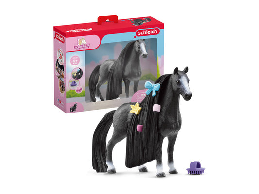 Beauty Horse Quarter Horse Mare / 3