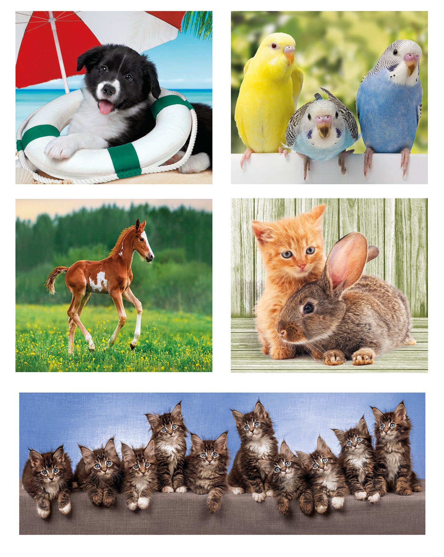 Puzzle 10 In 1 (18-30-48-60) - Animal Friends