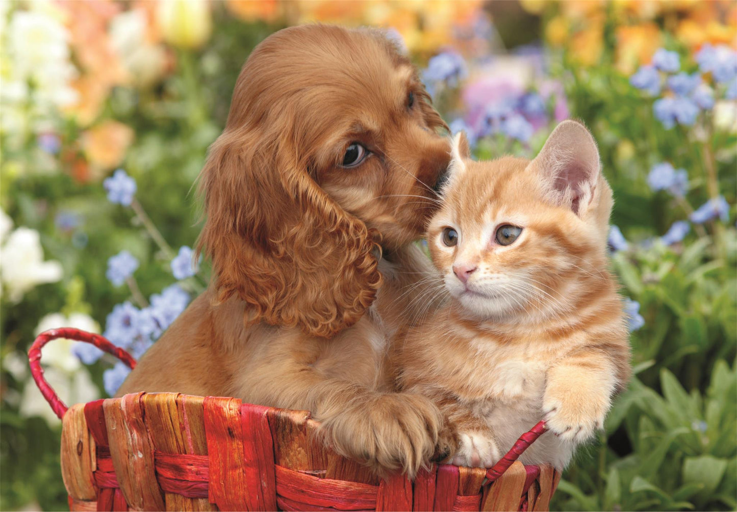 Puzzle 104 Maxi - Cute Friends - Pisica si Catel / 6