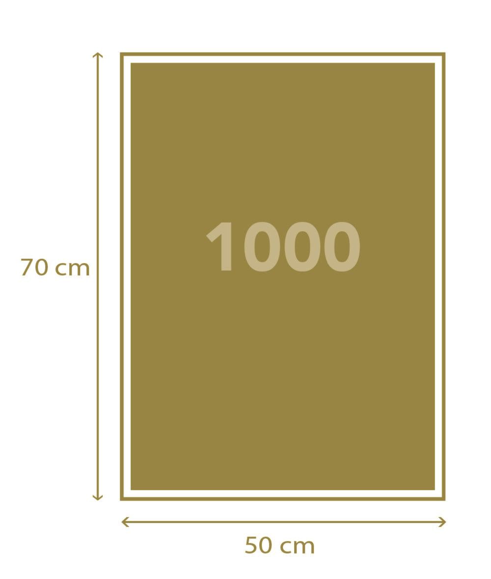 Puzzle Compact 1000 Piese - Colorboom - Athenaeum / 6