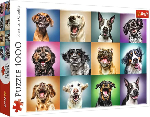 Puzzle 1000 piese - Portrete catelusi haiosi / 6