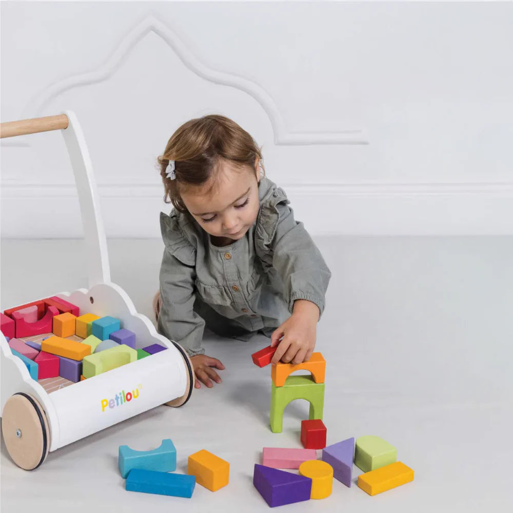 Premargator Rainbow Cloud Walker cu 45 caramizi colorate din lemn