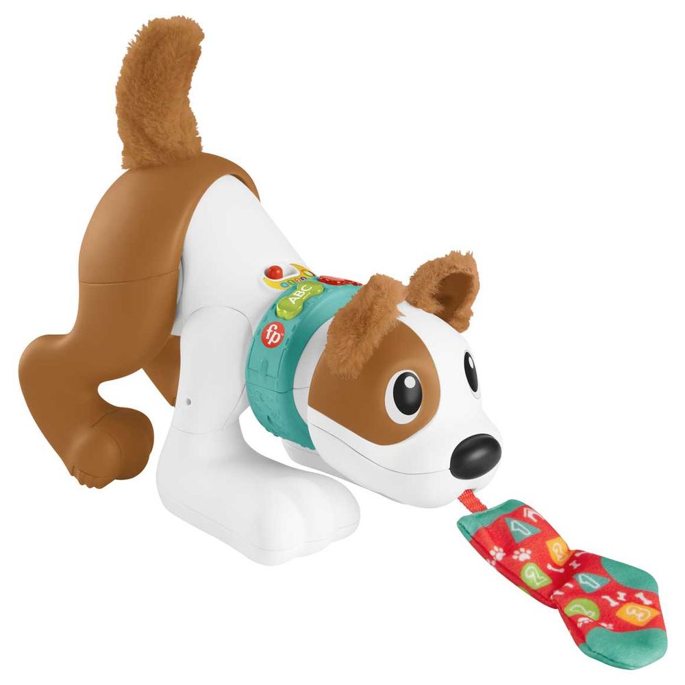 Crawl With Me Puppy - Catelus interactiv/educativ (in engleza)