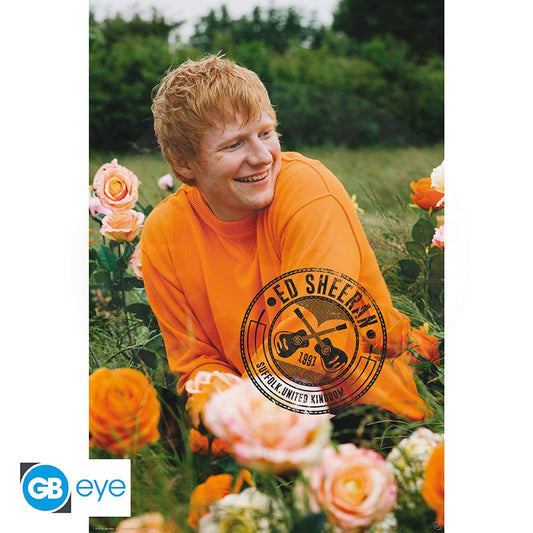ED SHEERAN - Poster Maxi 91.5x61 - Rose Field