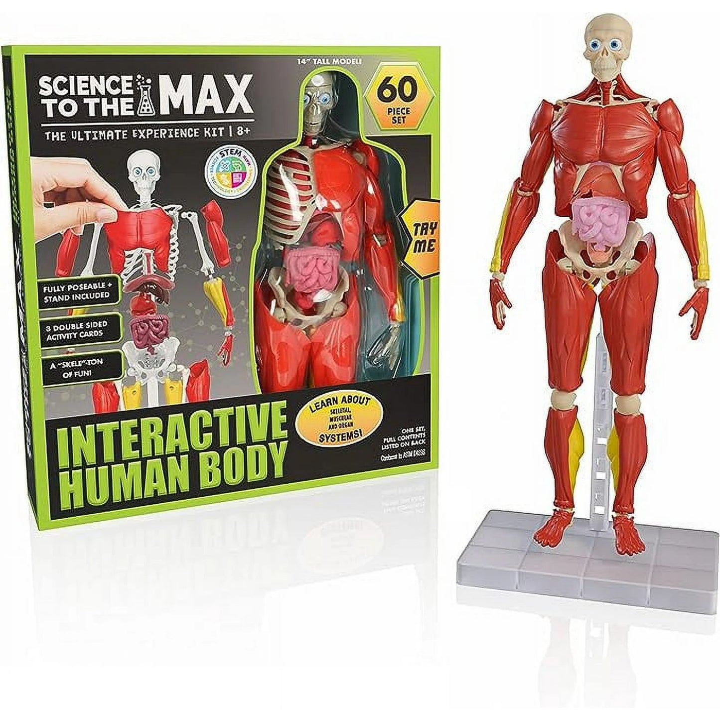 Science To The Max - Corp Uman Interactiv - 60 de piese / 4