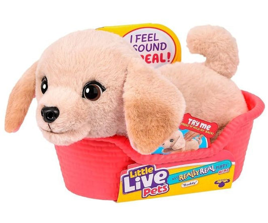 Plus interactiv Little Live Pets - Really Real Puppy, Buddy Labradorul