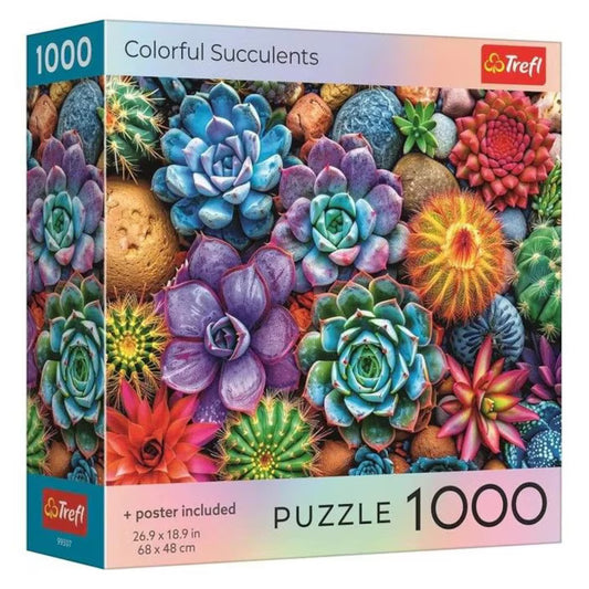 Puzzle 1000 piese Square Box with poster - Colorful Succulents