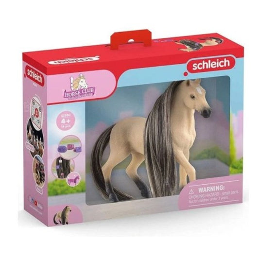 Beauty Horse Andalusian Mare / 3