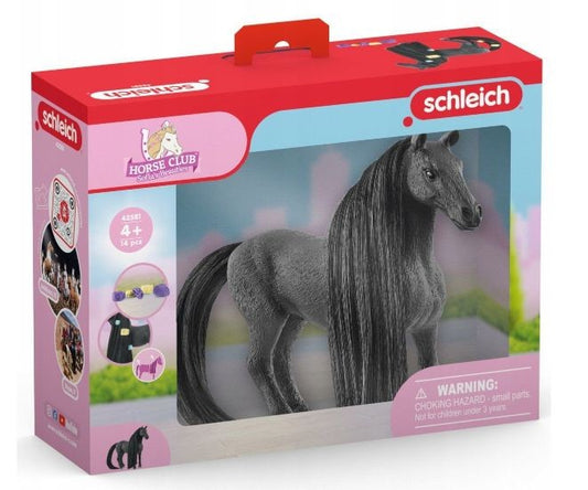 Beauty Horse Criollo Definitivo Mare  / 3