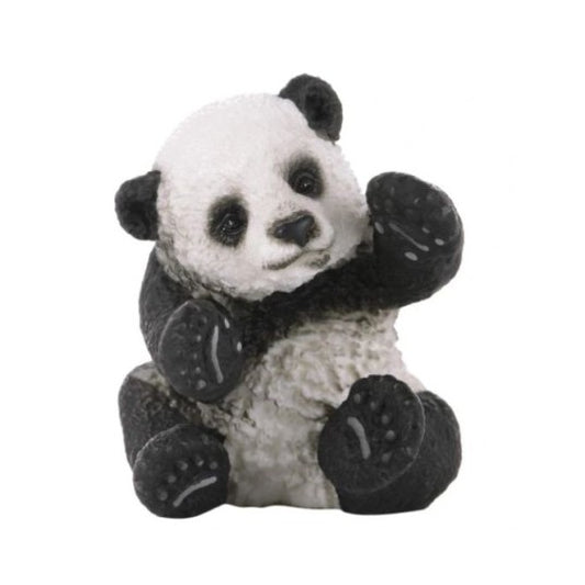 Pui de Panda, jucandu-se / 5